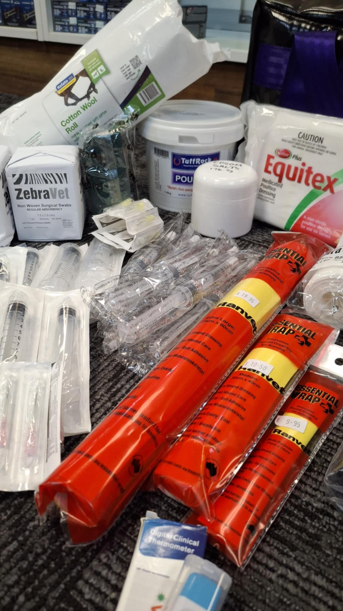 Advanced Horse First Aid Kit