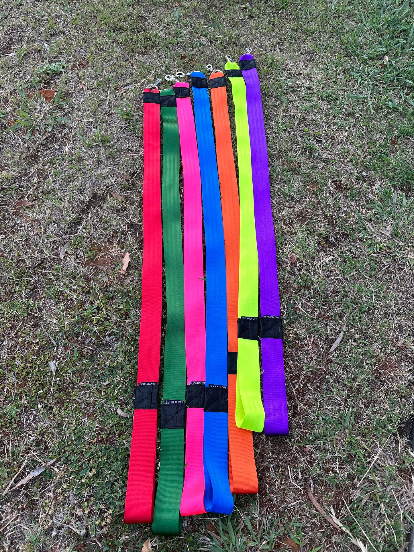 Seat Belt Dog Leads