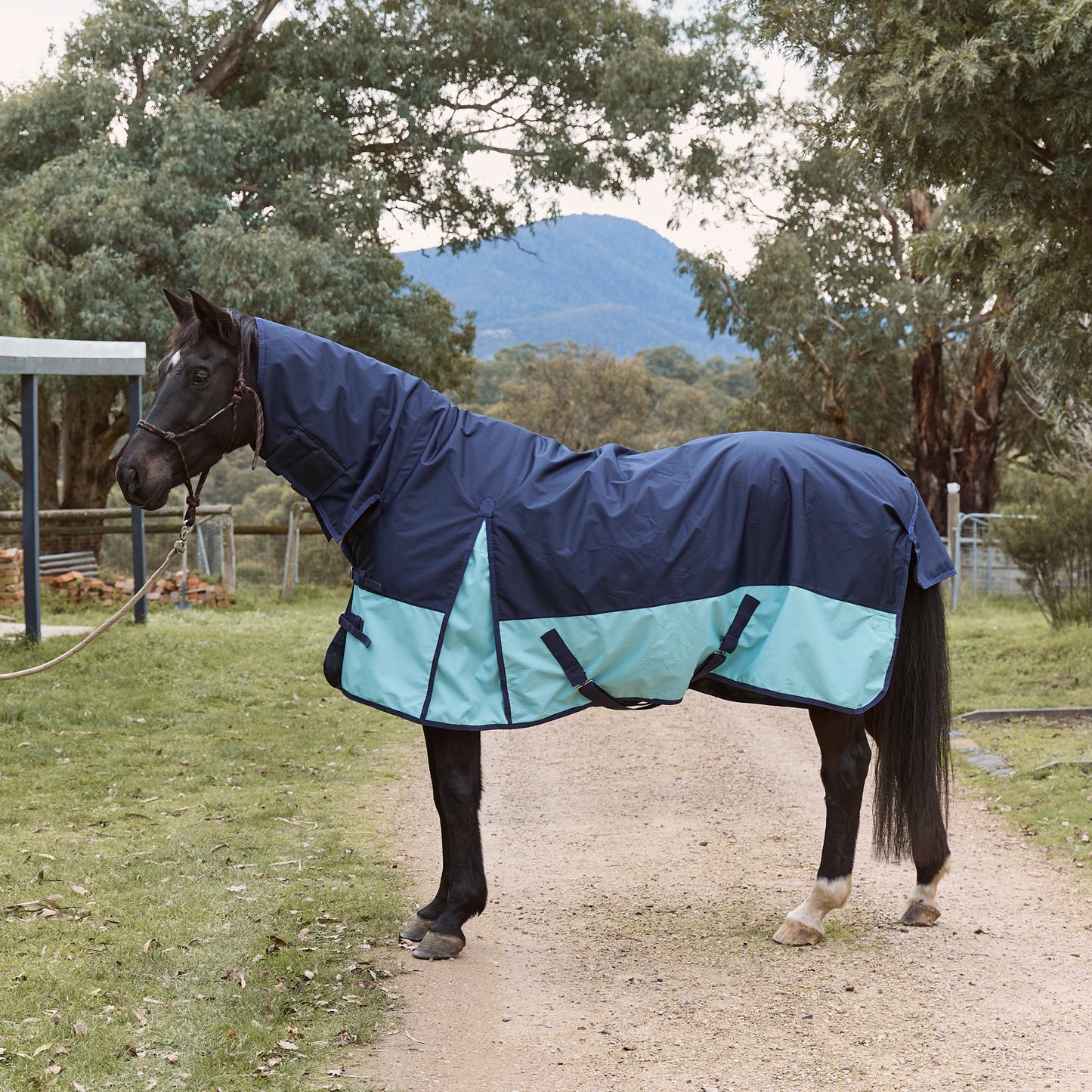 Eureka Bounty Light Combo – Navy & Light Blue