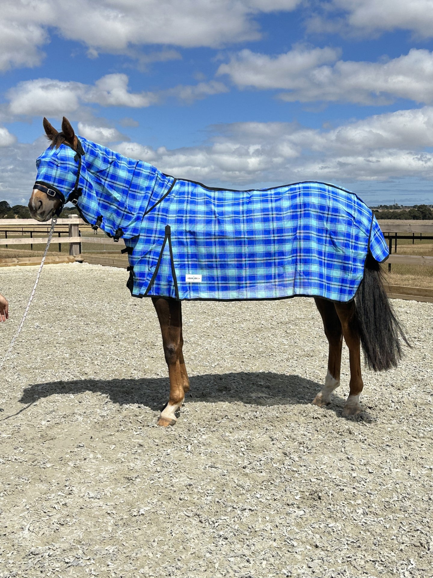 Shadecloth Mesh Combo's with bonus Fly mask