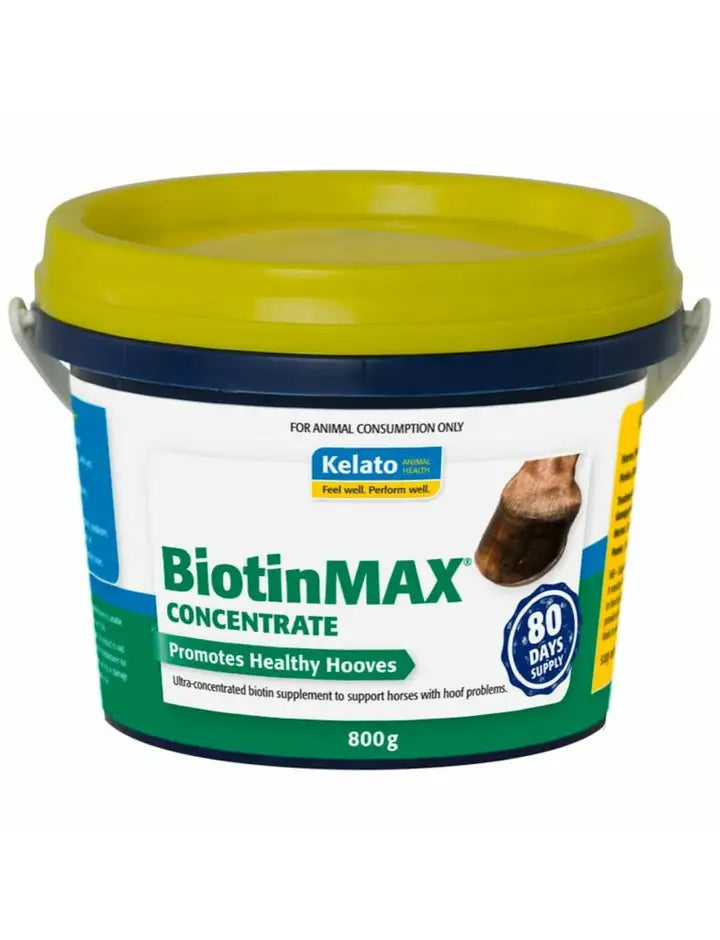 Biotinmax Concentrate 800G
