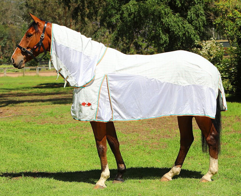 Zilco Ecnoo Hybrid Combo