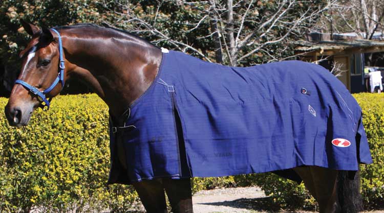 Lined Canvas Blue Mountain Rug
