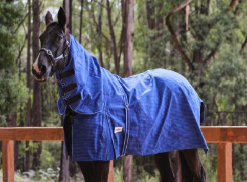 Eureka - Unlined Blue Canvas Combo