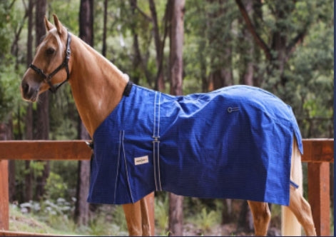 Eureka - Unlined Blue Canvas Rug