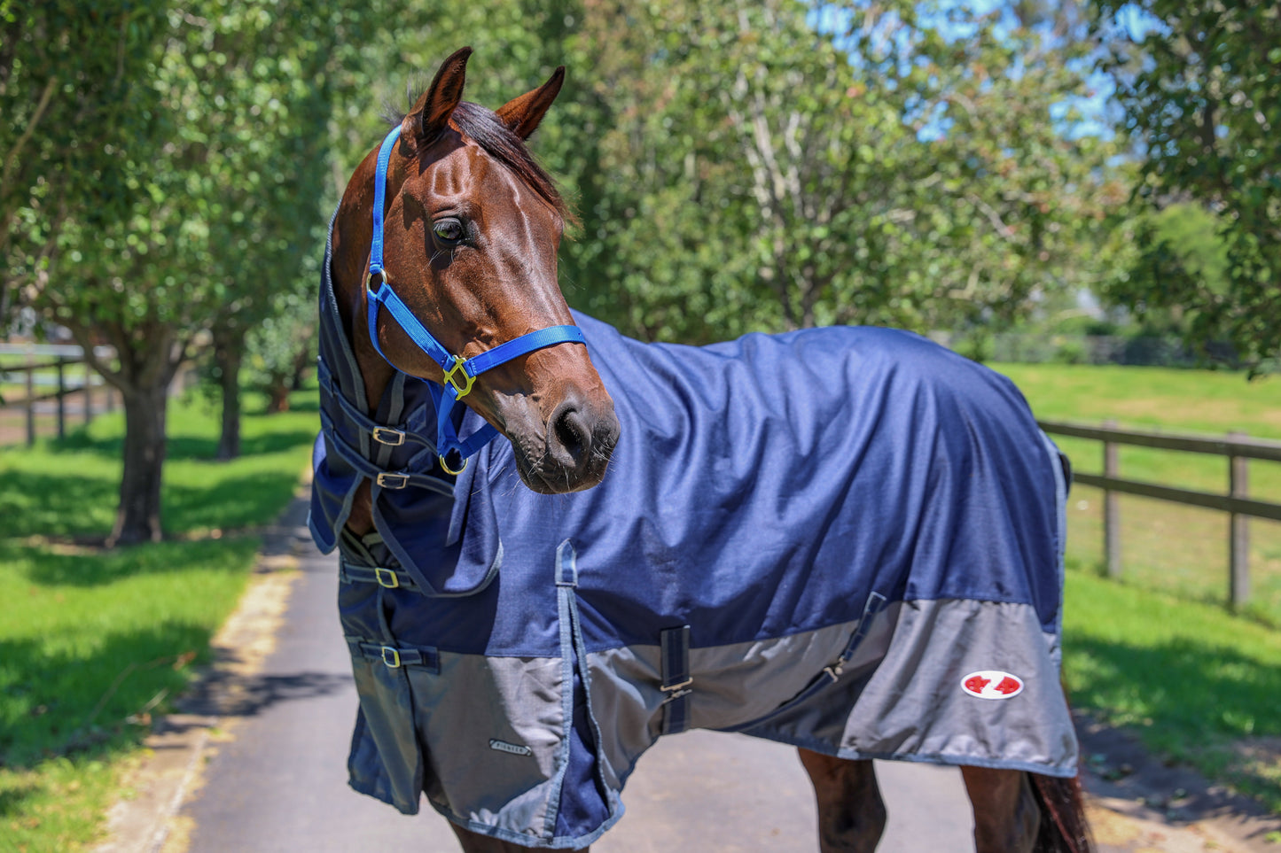 2024 Zilco Woolguard 1200D Ripstop Combo - Kersey Wool Lined