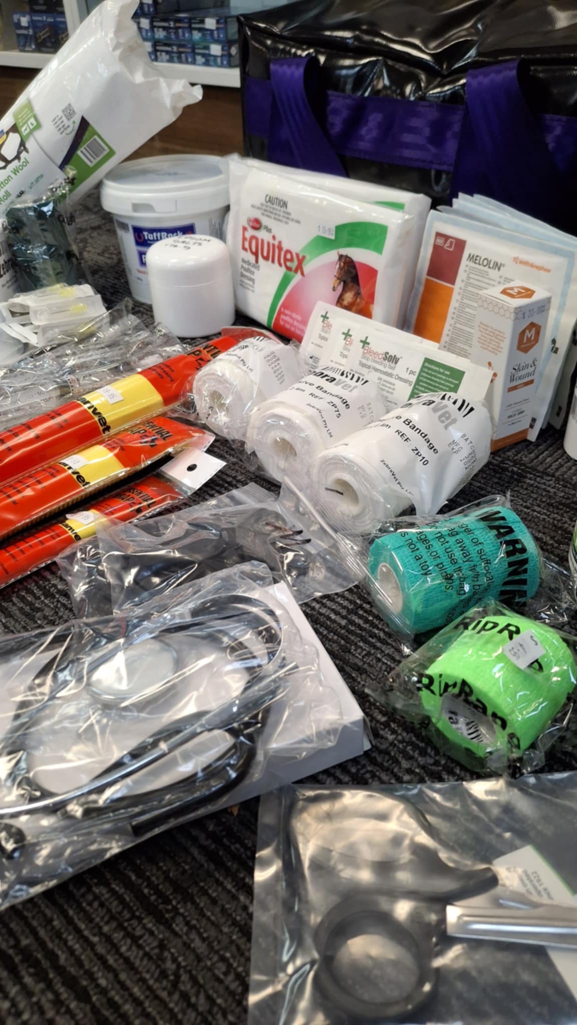 Advanced Horse First Aid Kit