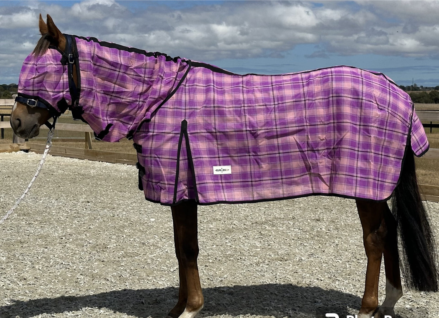 Shadecloth Mesh Combo's with bonus Fly mask