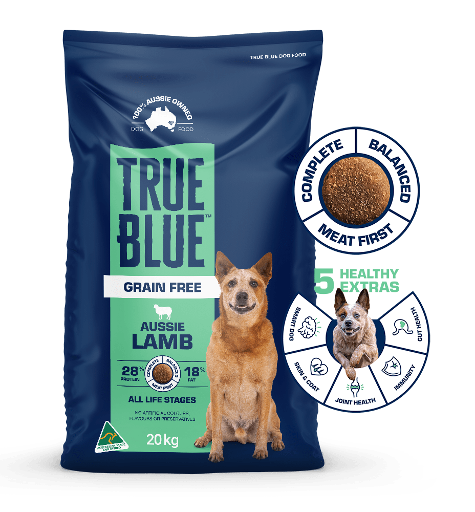 True Blue Working dog Aussie Lamb