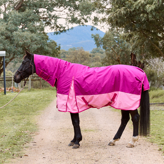 Eureka Bounty Medium Winter Combo – Raspberry & Light Pink