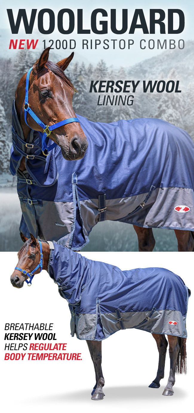 Tappeto Da Equitazione, Impermeabile, Navy | Blu | 135 Cm | M - Foto 8