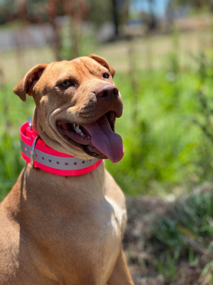 50mm Reflective Collar