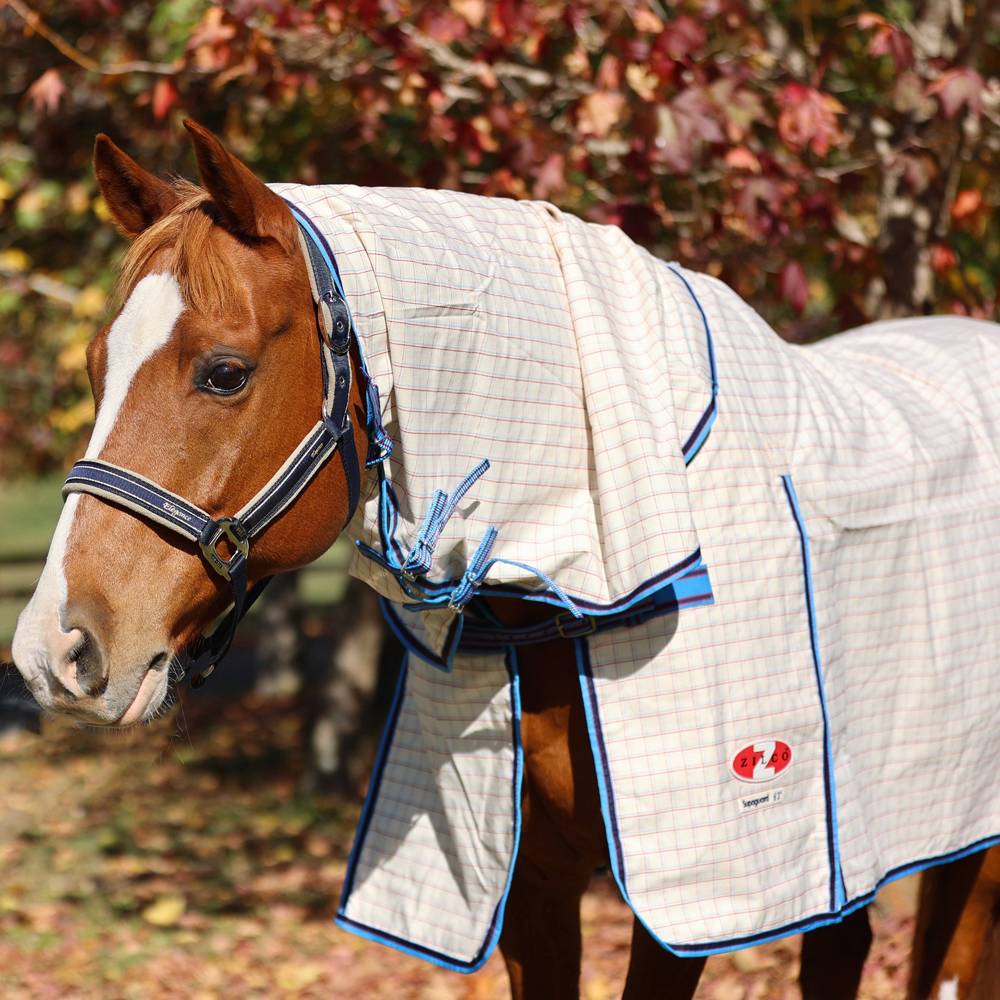 Zilco Rip Protector Rug Zilco Supa-guard Detacha Combo rug – Bucked Off Western Wear