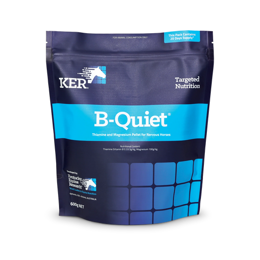 KER B-Quiet pellets 600g
