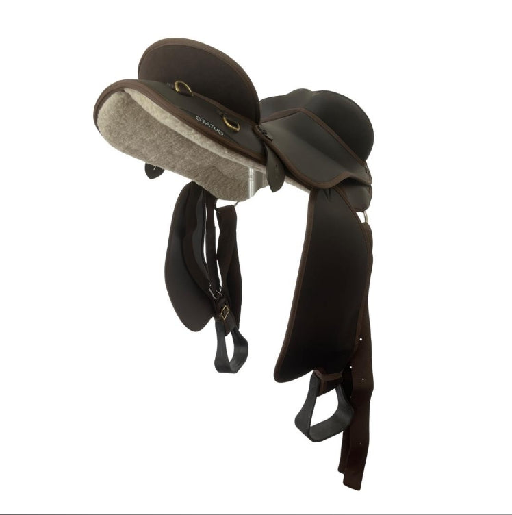 Status - Swinging Fender Adult
