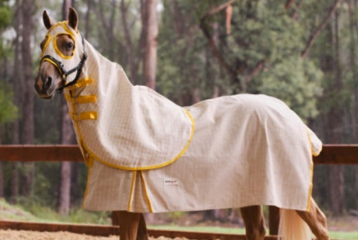 Showcraft - Gold Canvas Rug