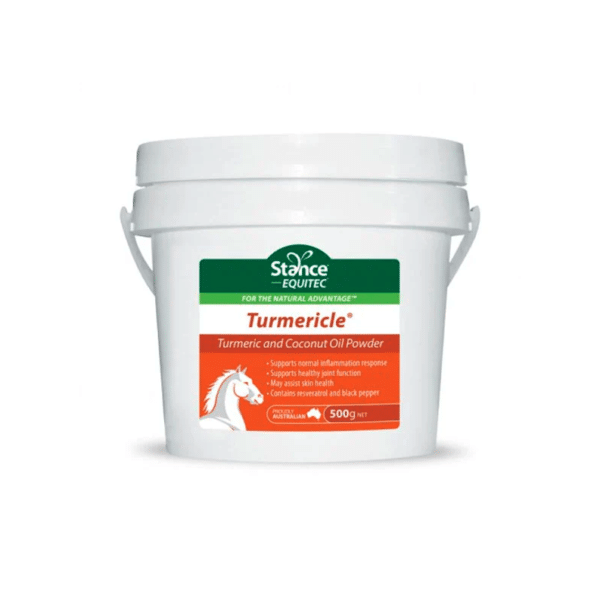 Equitec Tumeric Powder 500g