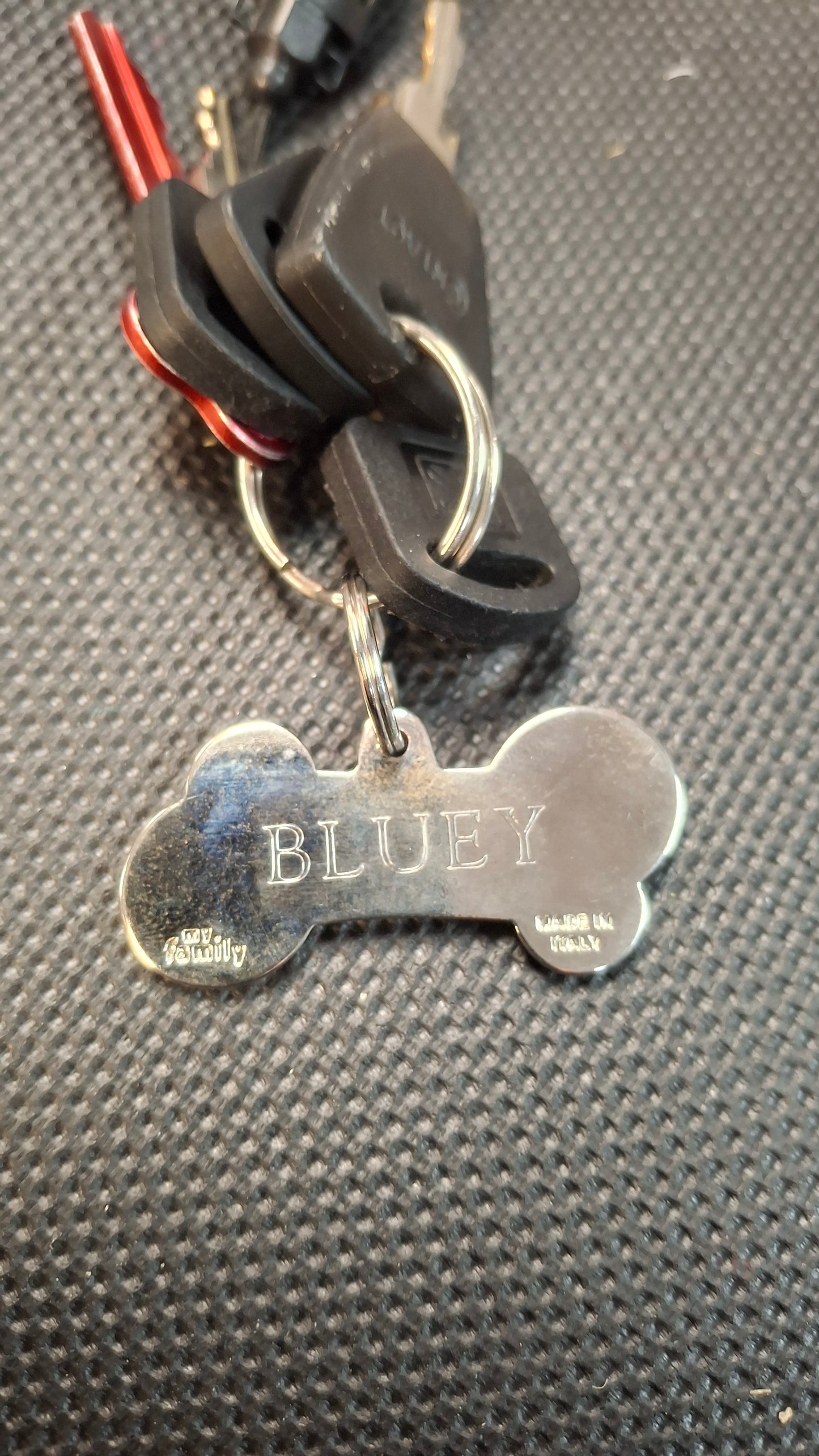 My Family Engraved Pet Tags
