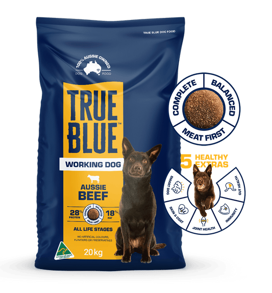 True Blue Working dog Beef