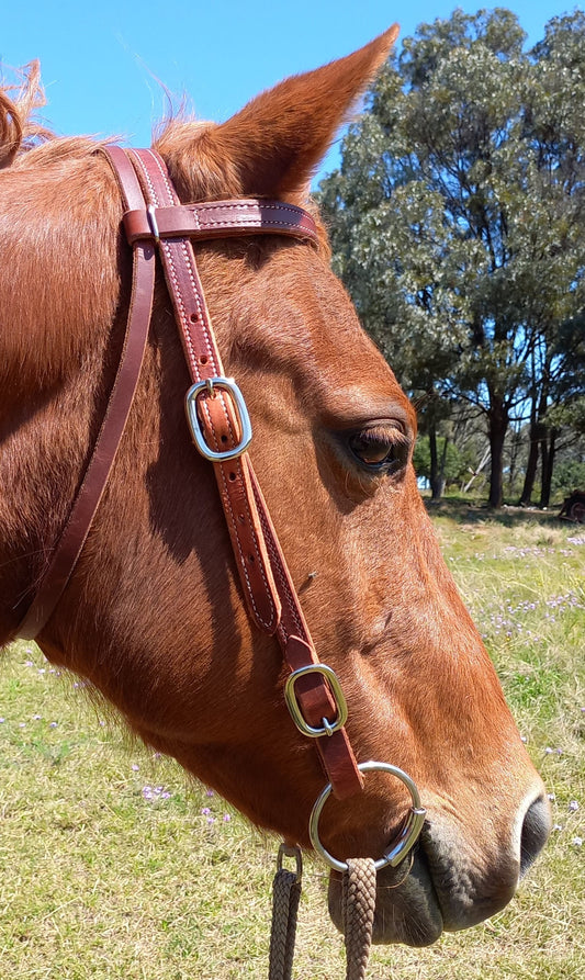 Double Stitched Herman Oak Work Bridle